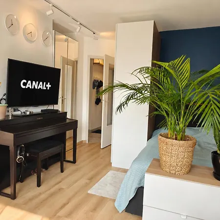 Apartment T1 Bis, Clim, Garage, Vue Vercors Grenoble